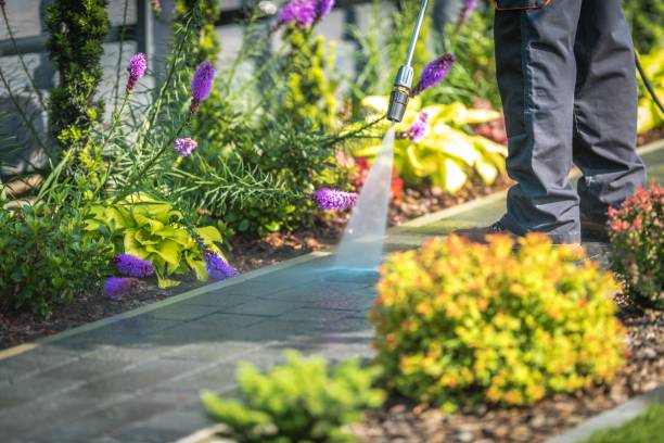 Best Gutter Cleaning and Brightening in Fort Stockton, TX